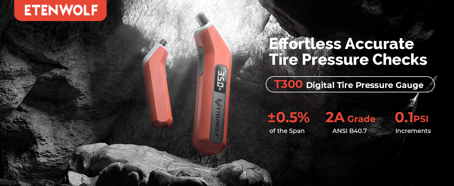 ETENWOLF T300 Professional Digital Tire Gauge