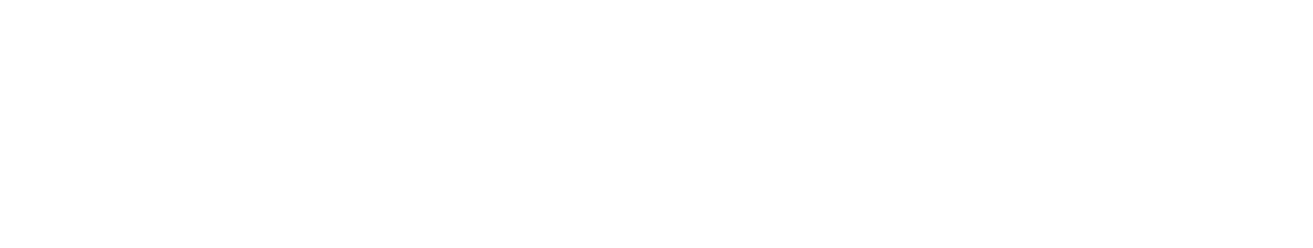 ETENWOLF official brand logo with white text for dark backgrounds.